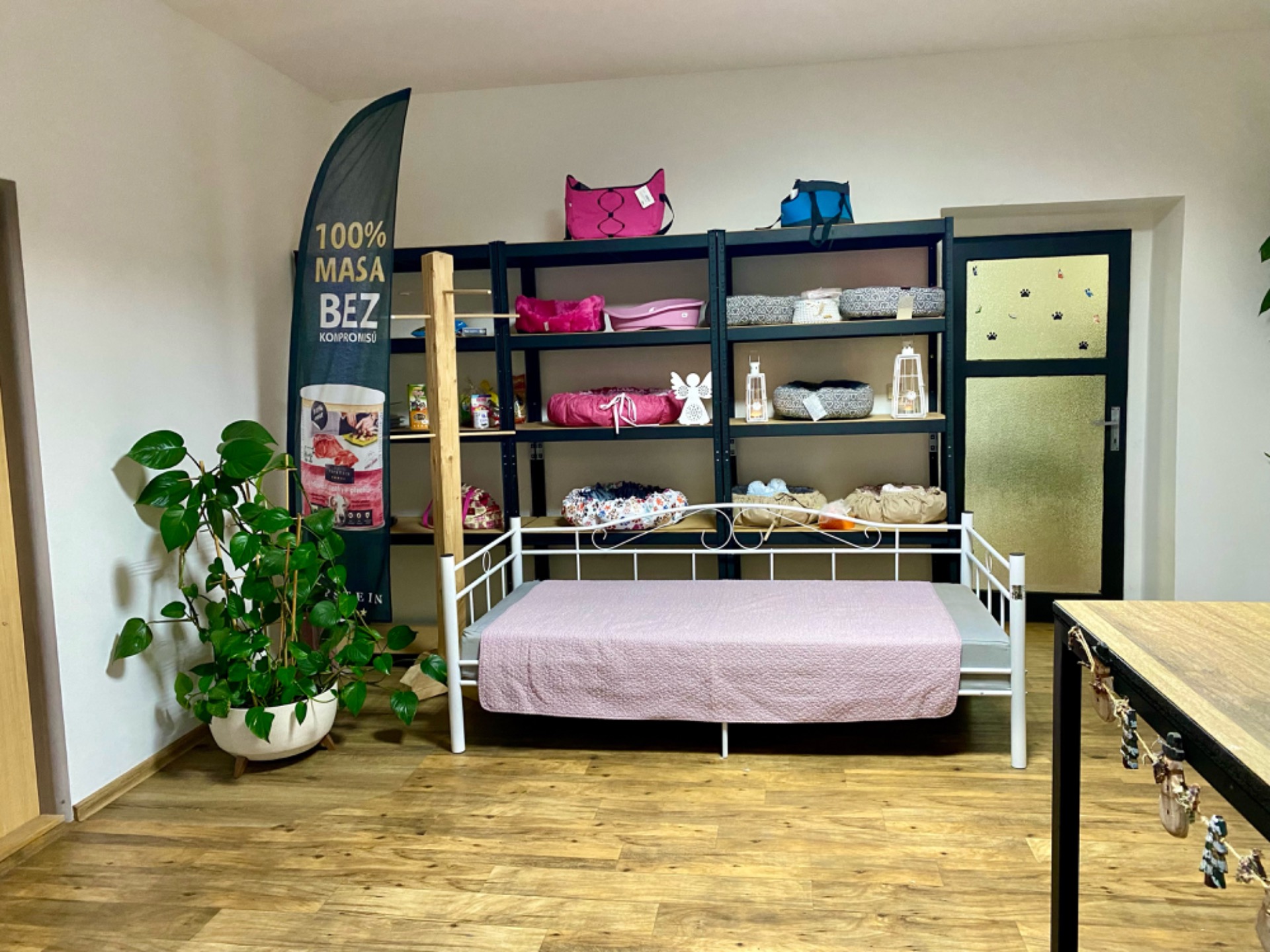 Úprava mazlíčka — Psí salon Lola Jičín