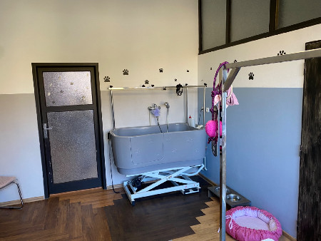 Úprava mazlíčka — Psí salon Lola Jičín